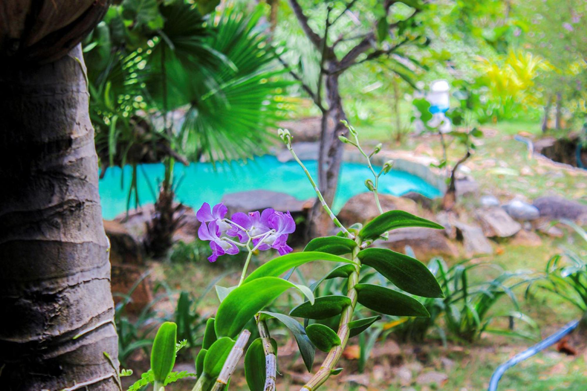 Me Bungalow Beach Resort Фантхьет Экстерьер фото